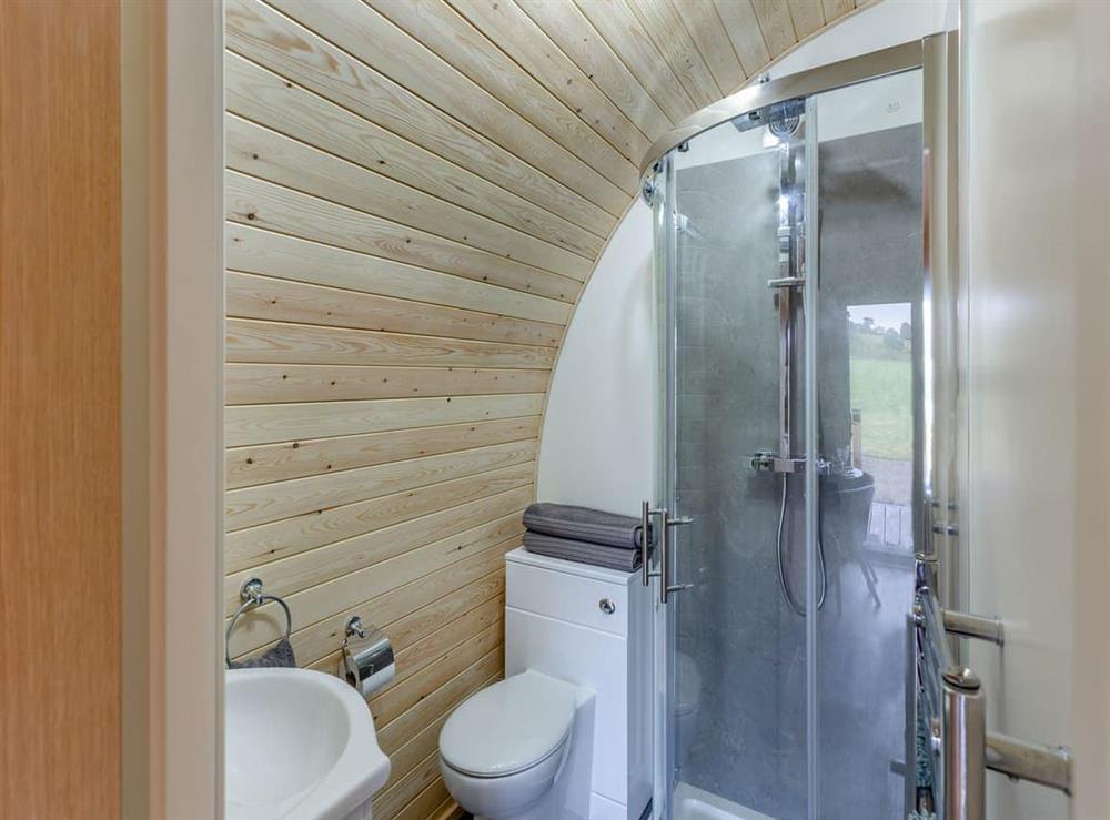 Shower room at Brook Valley Glamping-Chestnut in Llanfair Caereinion, Powys
