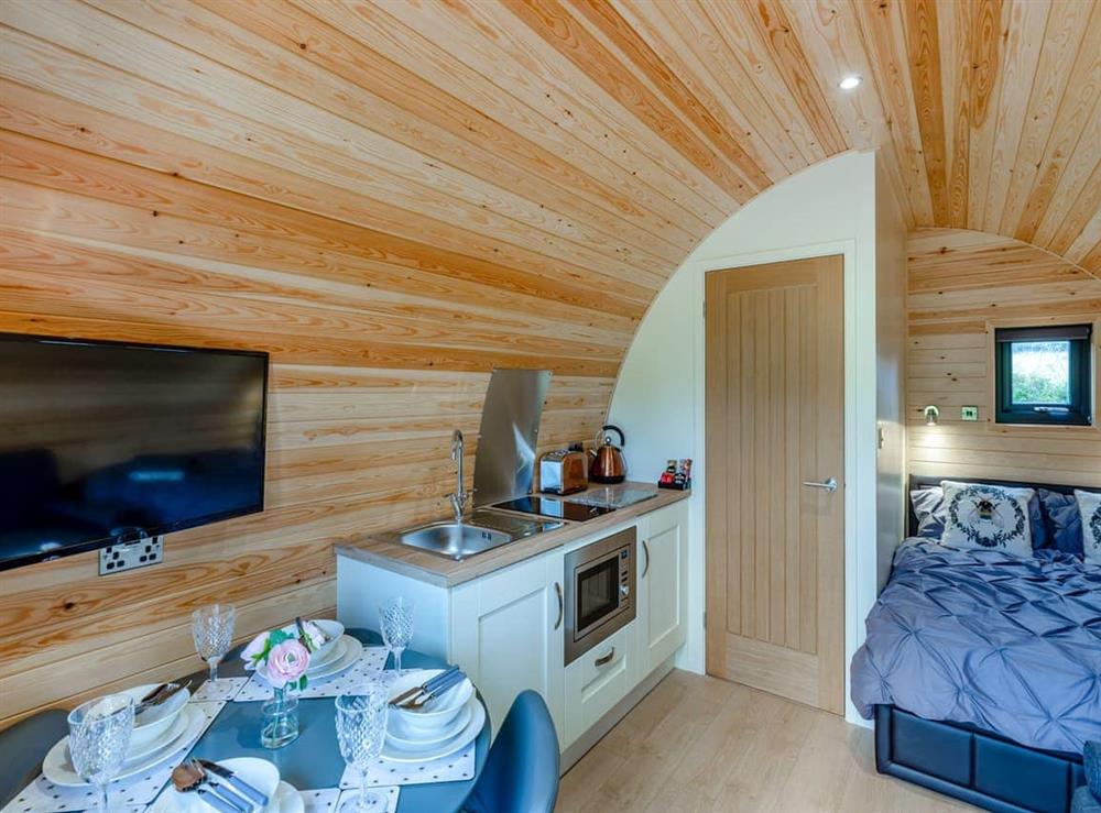 Open plan living space (photo 3) at Brook Valley Glamping-Elm in Llanfair Caereinion, Powys