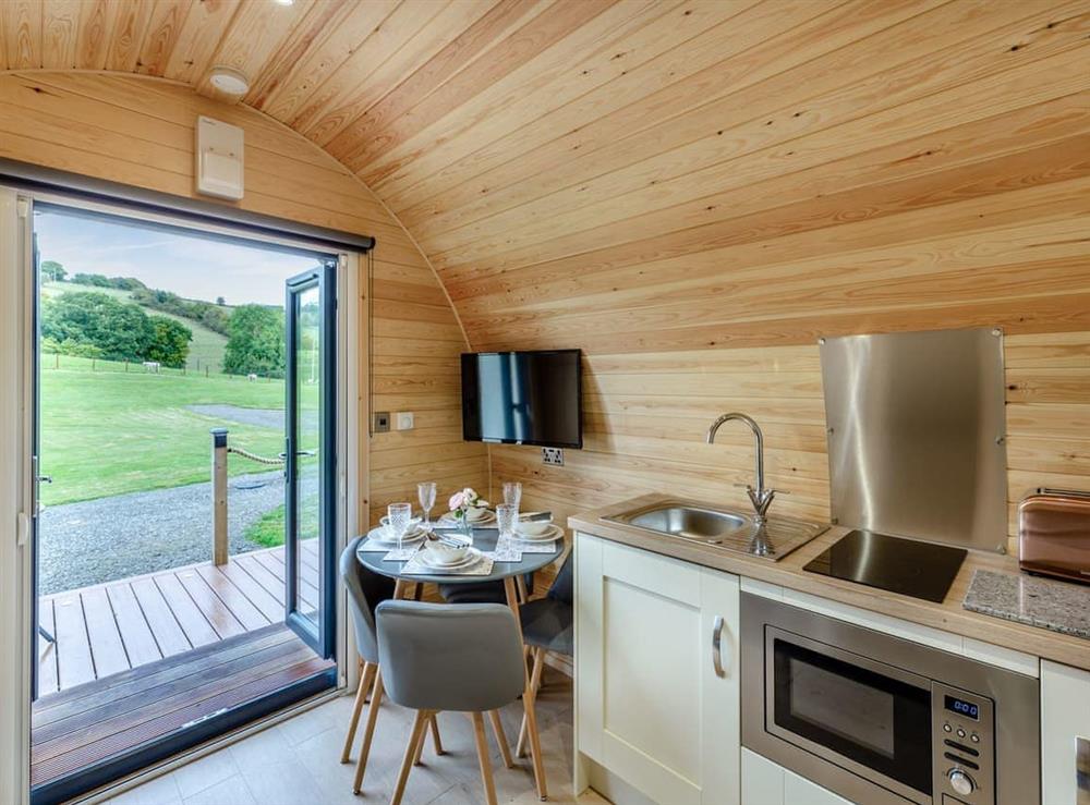 Open plan living space (photo 4) at Brook Valley Glamping-Elm in Llanfair Caereinion, Powys