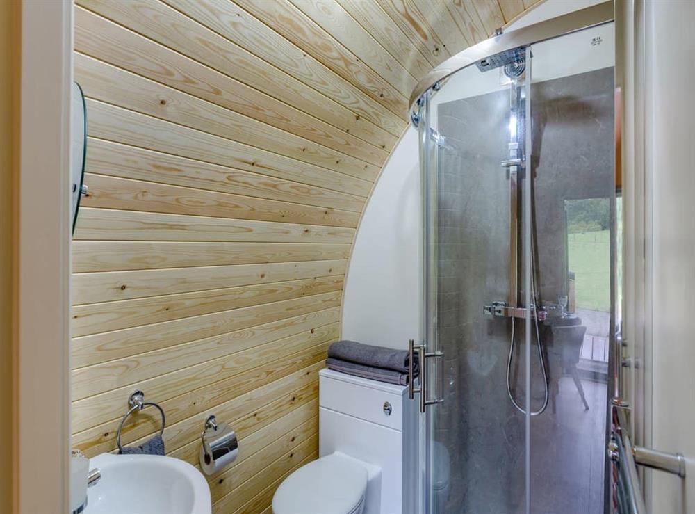 Shower room at Brook Valley Glamping-Elm in Llanfair Caereinion, Powys