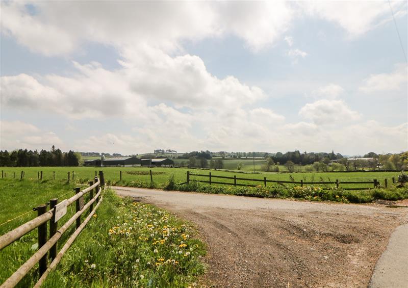 Rural landscape at Brookfield, Tansley