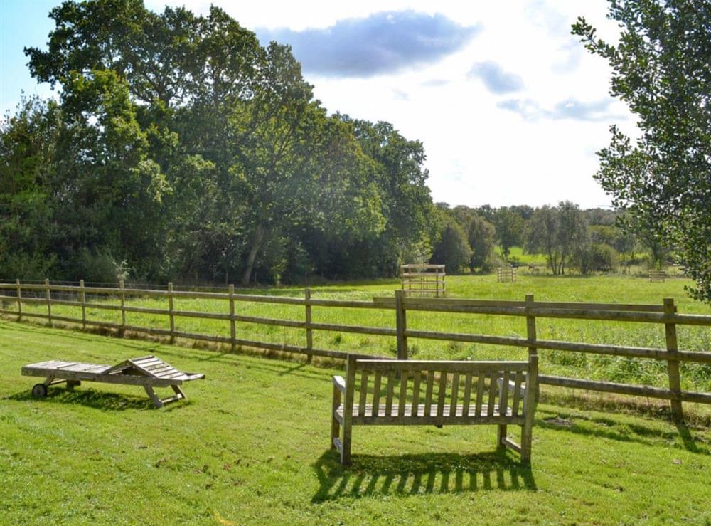 Charming views of the surroundign fields, from the garden at Brookside Cottage in Burley, near Ringwood, Hampshire