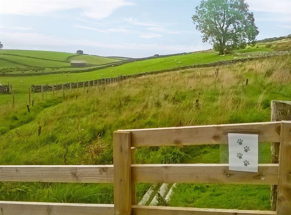 Let your dog burn off some energy in our secure dog run paddock at Brow View Cottage in Ravenstonedale, near Kirkby Stephen, Cumbria