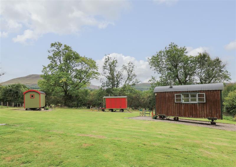 This is the garden at Brown Hare Shepherds Hut, Llangorse