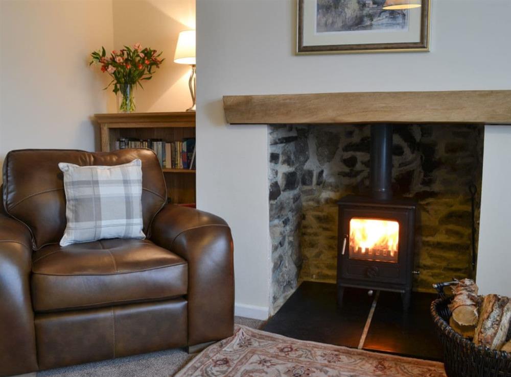 Cosy living room with wood burner (photo 3) at Browney Cottage in Lanchester, near Durham, County Durham, England