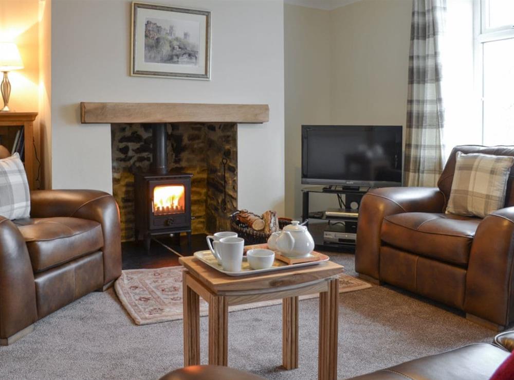 Cosy living room with wood burner at Browney Cottage in Lanchester, near Durham, County Durham, England