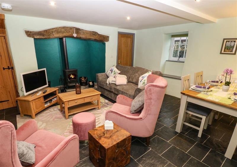 Enjoy the living room at Bryn Aber Bach, Llangybi near Chwilog