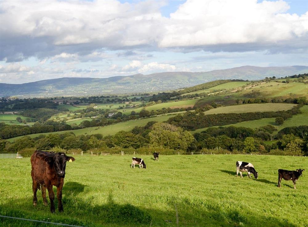 Wonderful countryside views at Bryn Boda in Nantglyn, near Denbigh, Conwy, Clwyd