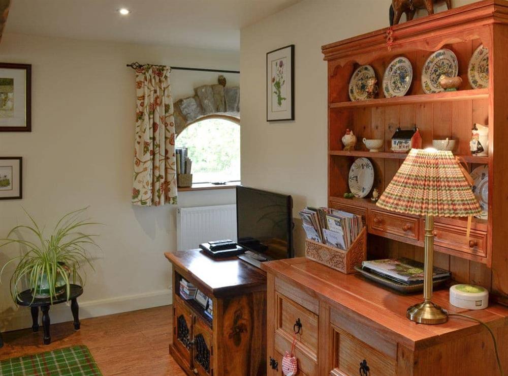 Living room with TV at Bryn Dedwydd Cottage in Eryrys, near Mold, Clwyd