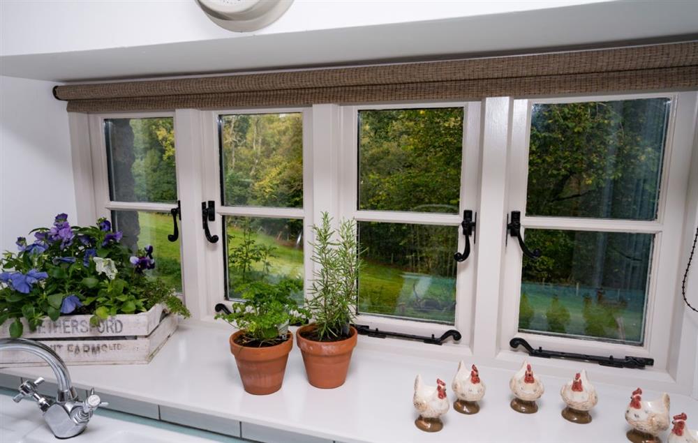 Lovely window scene from the kitchen with woodland views  at Bryn Derw, Bodnant Estate