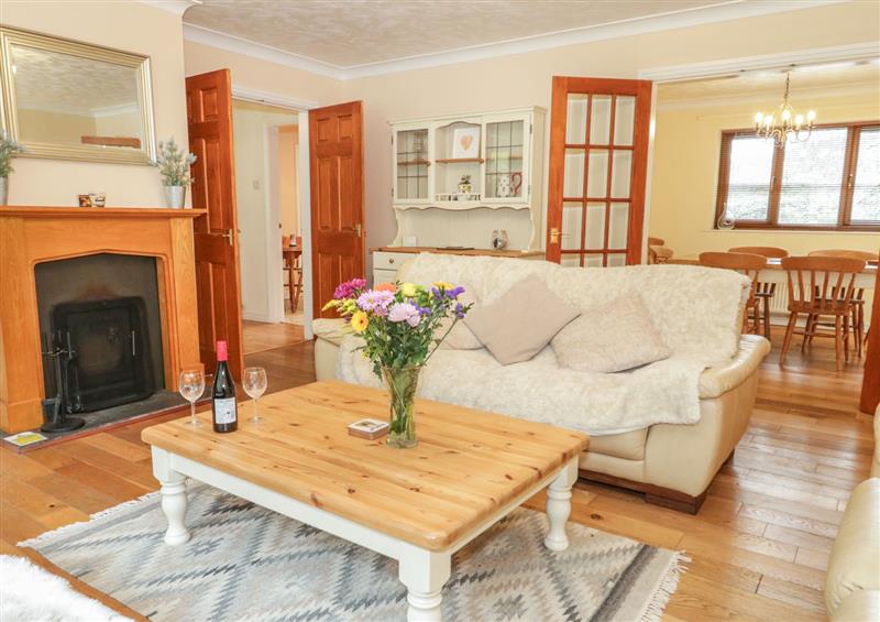Enjoy the living room (photo 2) at Bryn Elsi, Betws-Y-Coed