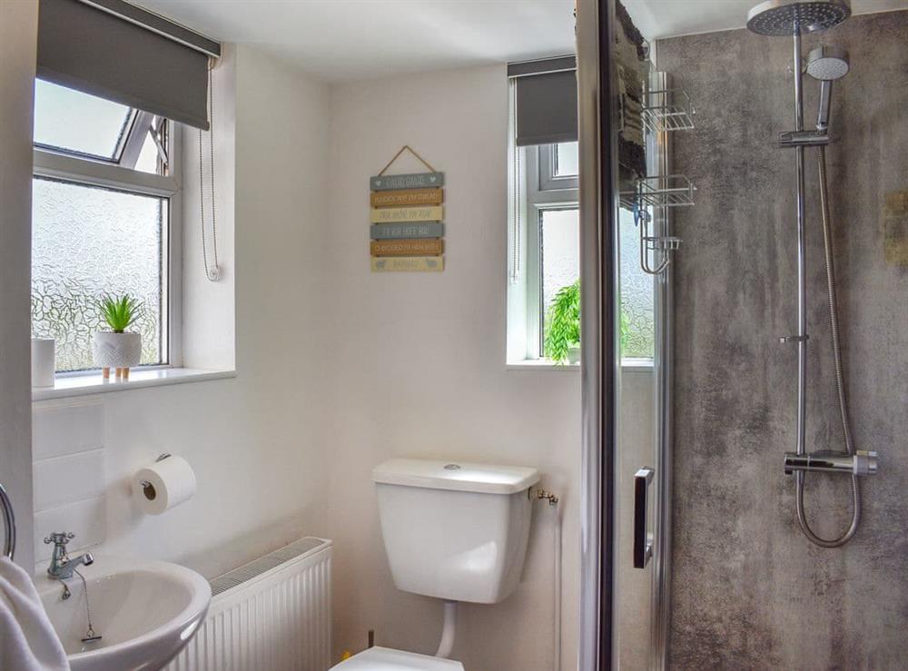 Shower room at Bryn Melyn in Rhyd-uchaf, near Bala, Gwynedd