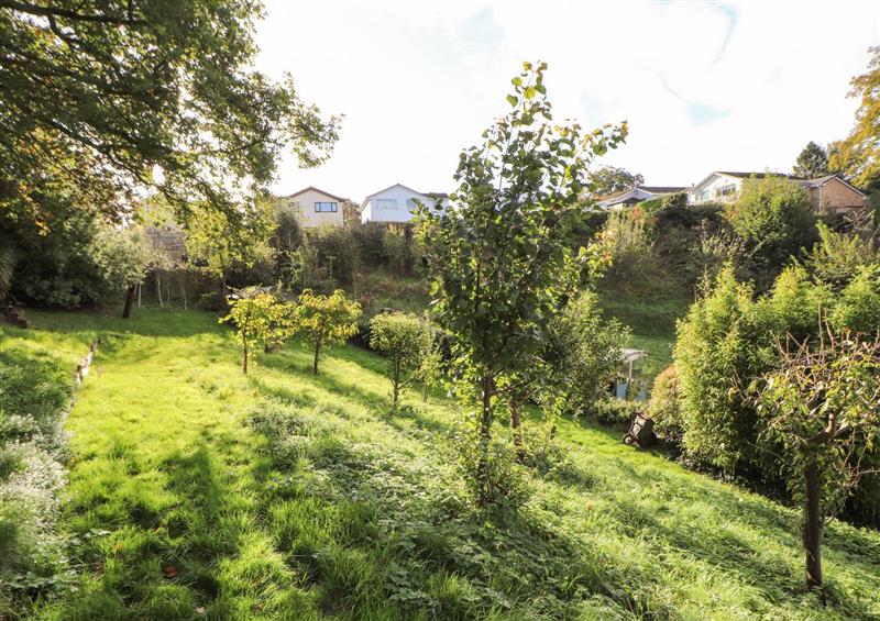 Photos of Bryn Nophfa, Flint Mountain