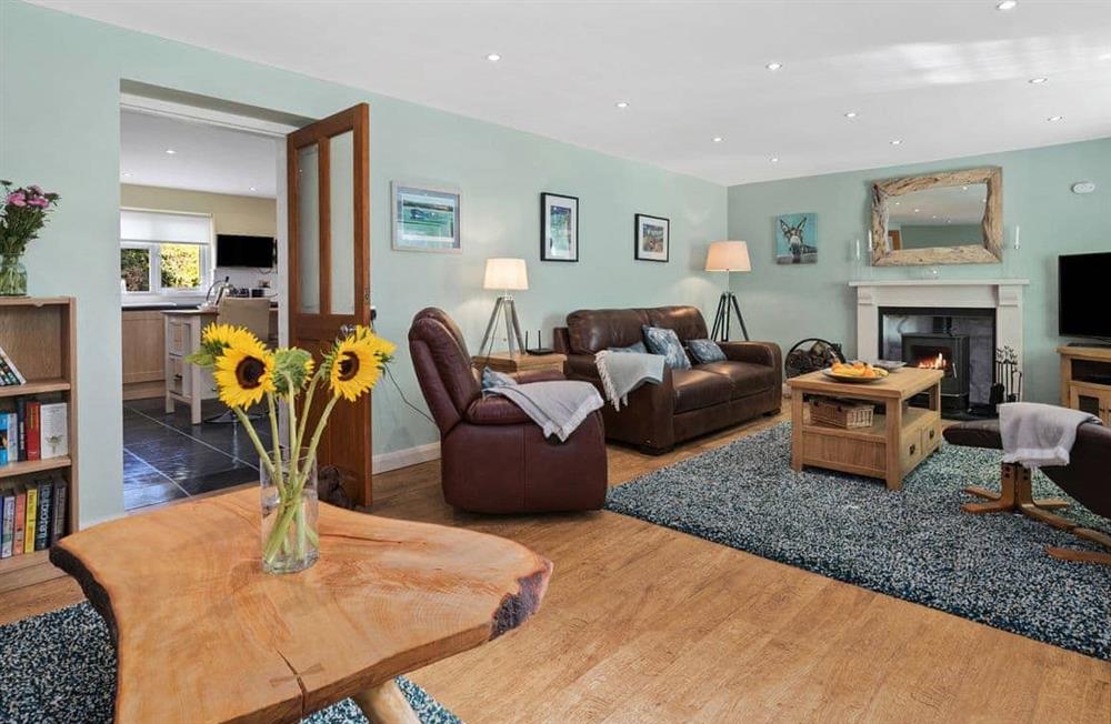 Enjoy the living room (photo 2) at Bryn Olwyn in Little Newcastle, Haverfordwest, Pembrokeshire, Dyfed