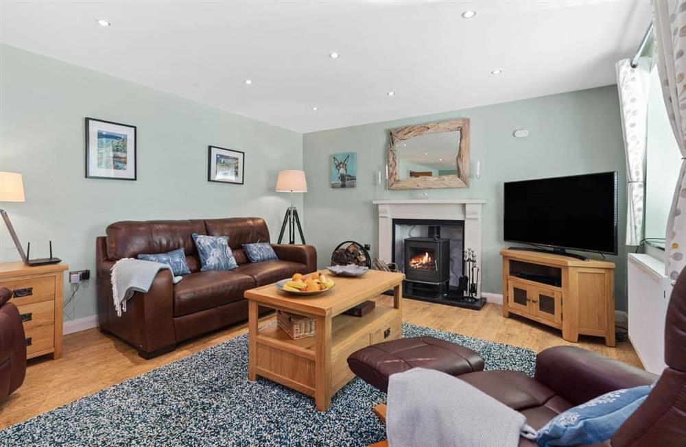 Relax in the living area at Bryn Olwyn in Little Newcastle, Haverfordwest, Pembrokeshire, Dyfed