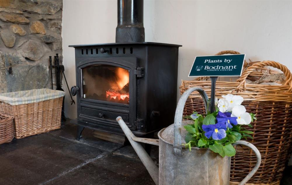Enjoy a warming fire on a chilly afternoon at Bryn Rhydd, Bodnant Estate