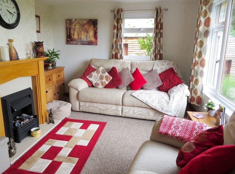 Living room at Bryn Rodyn in Graigfechan, near Ruthin, Denbighshire