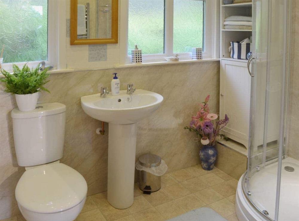 Spacious shower room with heated towel rail at Bryn Rodyn in Graigfechan, near Ruthin, Denbighshire