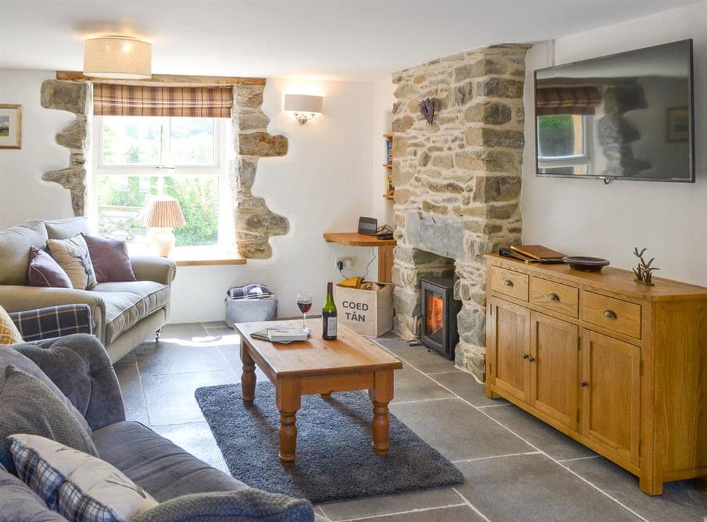 Characterful living room at Bryn Salem in Cwm-Cewydd, near Machynlleth, Gwynedd
