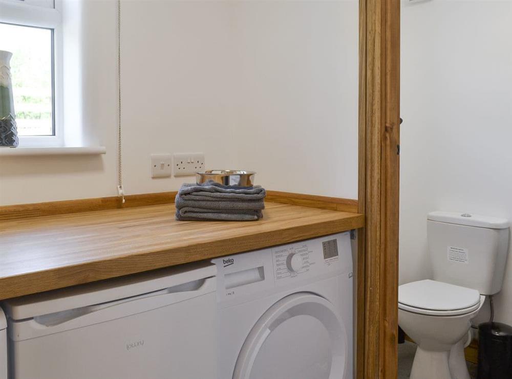 Useful utility room and ground floor toilet at Bryn Salem in Cwm-Cewydd, near Machynlleth, Gwynedd