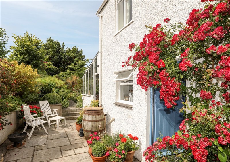 The garden at Bryn Tegid, Beaumaris