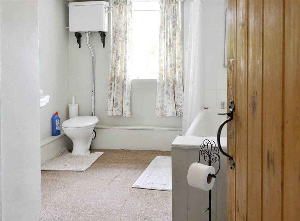 Family bathroom with shower over bath at Bryn Tirion in Trefor, Anglesey, Gwynedd