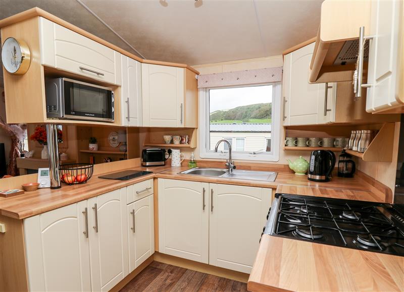 Kitchen at Bryn Vista, Aberystwyth