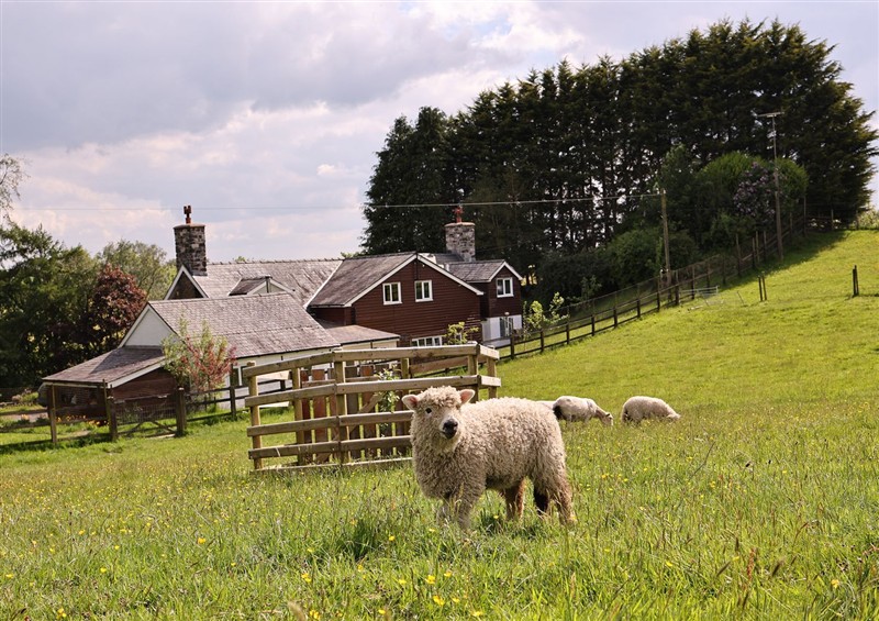 This is Bryn Y Garreg Cottage - The Wireless Tech Free Farm at Bryn Y Garreg Cottage - The Wireless Tech Free Farm, Llangadfan near Llanwddyn