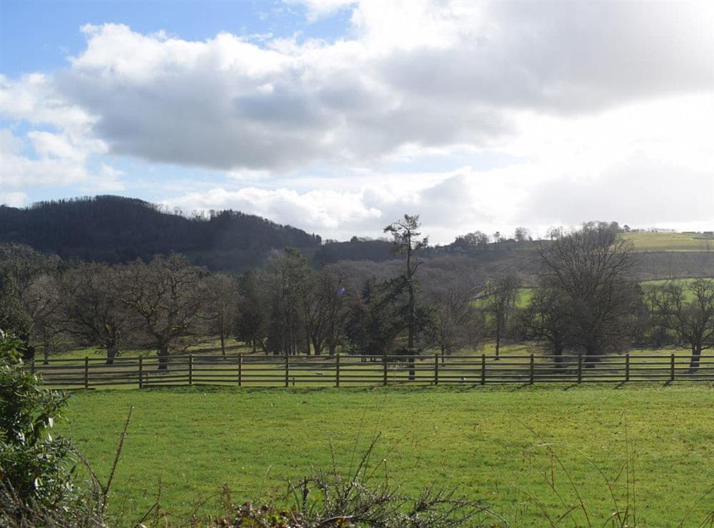 Garden and grounds (photo 2) at Brynderwen Hall Annexe in Llanfyllin, Powys