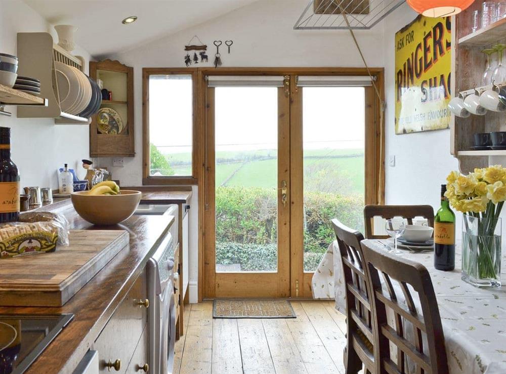 Galley style kitchen with patio doors to garden at Brynhoreb in Aberystwyth, Dyfed