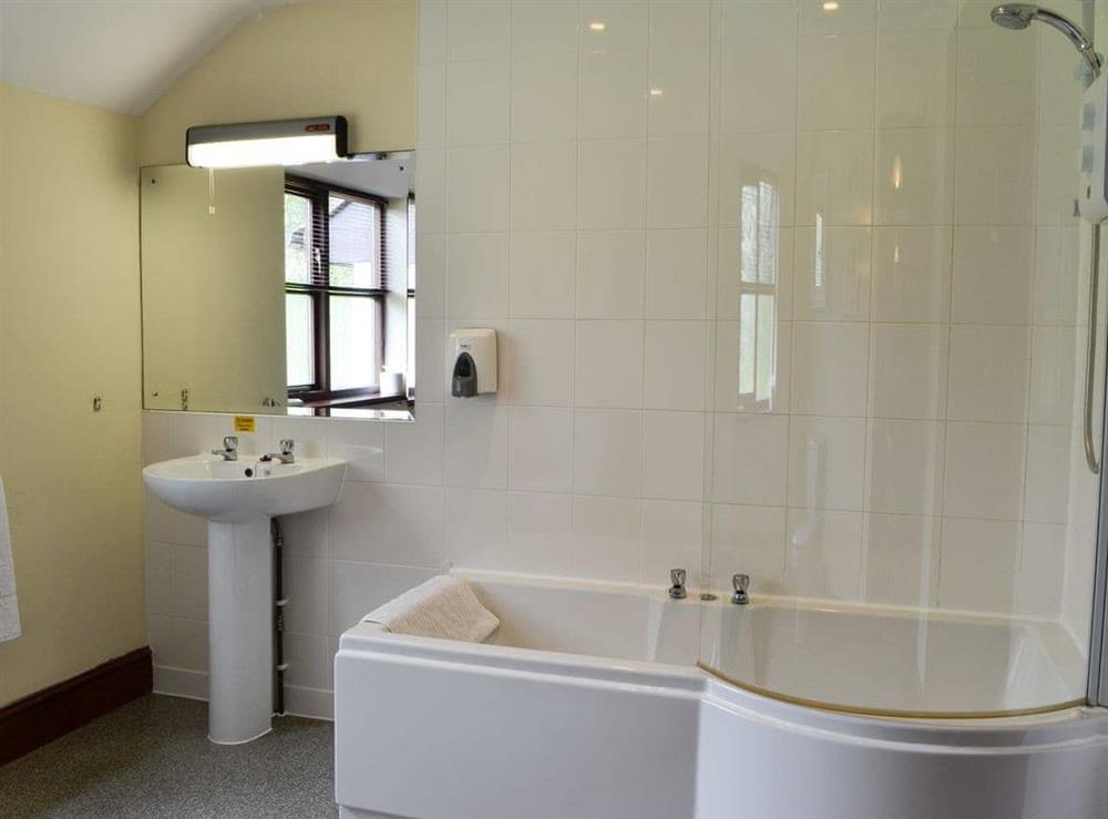 Bathroom at Brynich Villa in Brecon, Powys