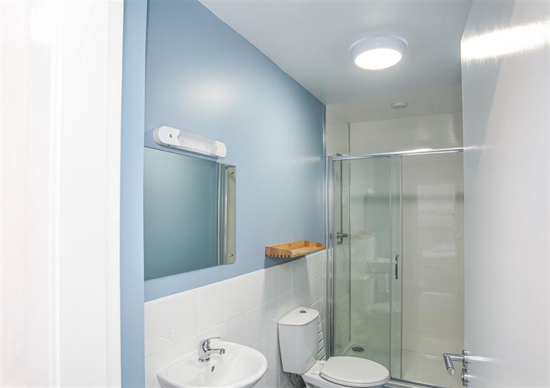 The bathroom (photo 3) at Brynkir Coach House, Porthmadog