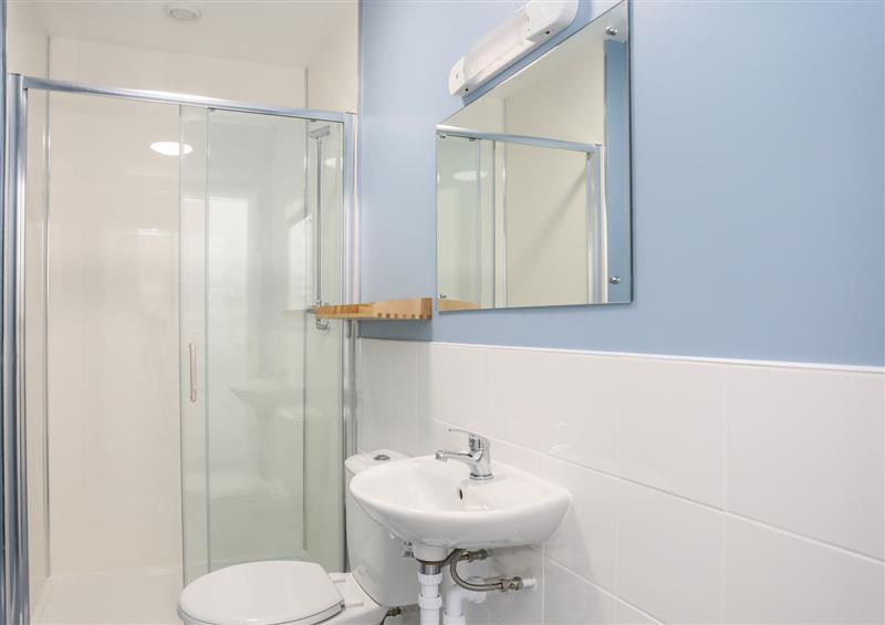 This is the bathroom (photo 4) at Brynkir Coach House, Porthmadog