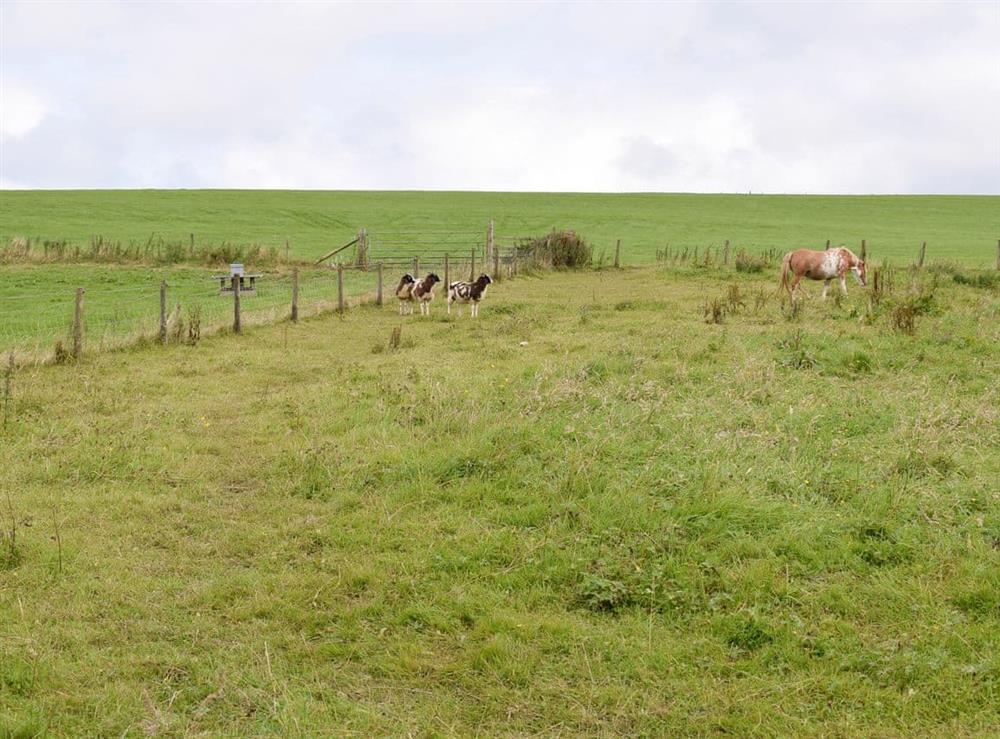 Surrounded by open countryside at Brynn Eirin in Talgarreg, Llandysul, Dyfed
