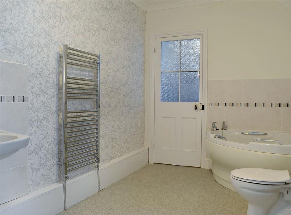 Bathroom at Brynog Mansion Farmhouse in Lampeter, near Aberaeron, Dyfed