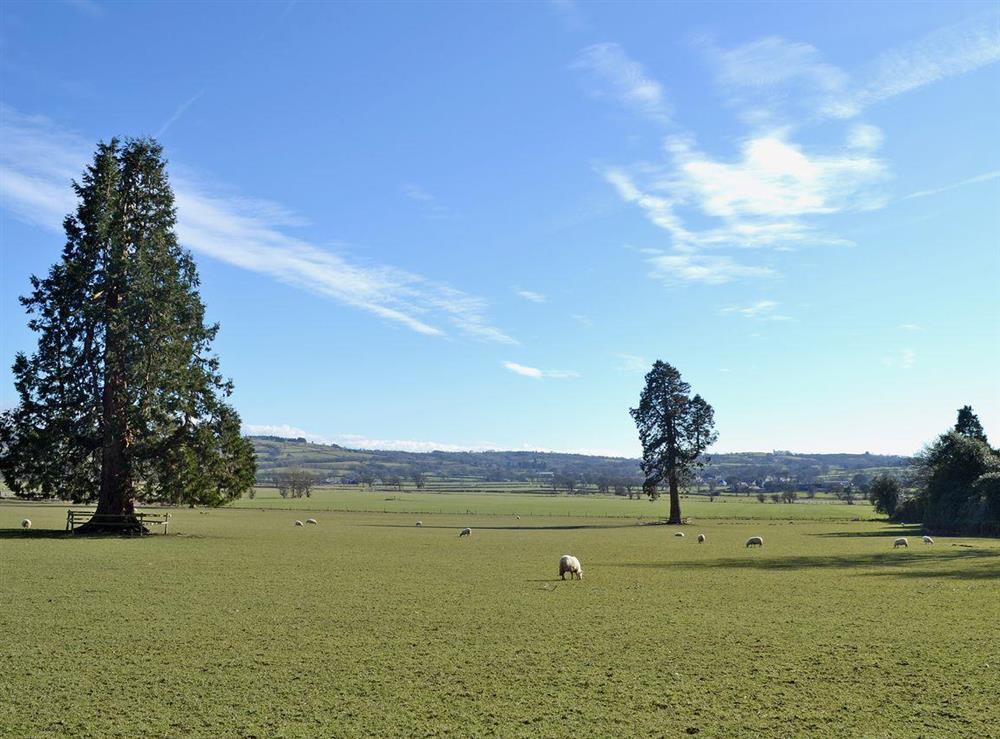 Beautiful surrounding area at Brynog Mansion Farmhouse in Lampeter, near Aberaeron, Dyfed