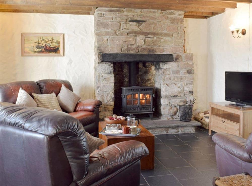 Charming living area with wood burner at Bryntowy in Kidwelly, Dyfed