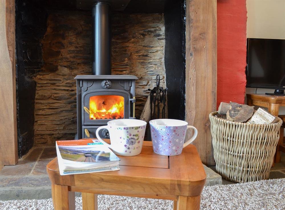 Relax in front of a roaring fire at Bryntrisant in Devil’s Bridge, near Aberystwyth, Dyfed
