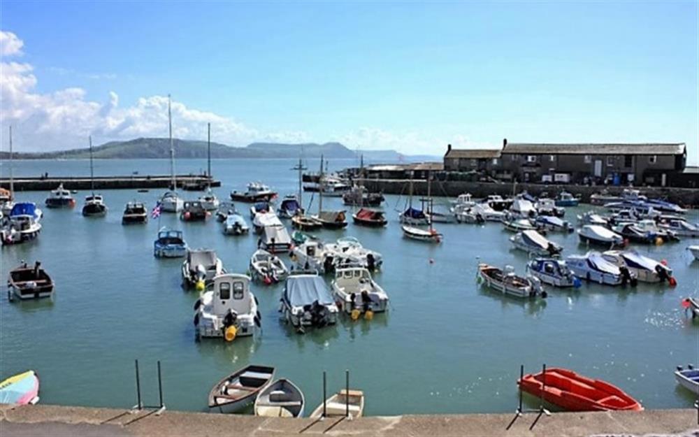The harbour and Cobb at Lyme Regis at Buckfield Penthouse in Lyme Regis