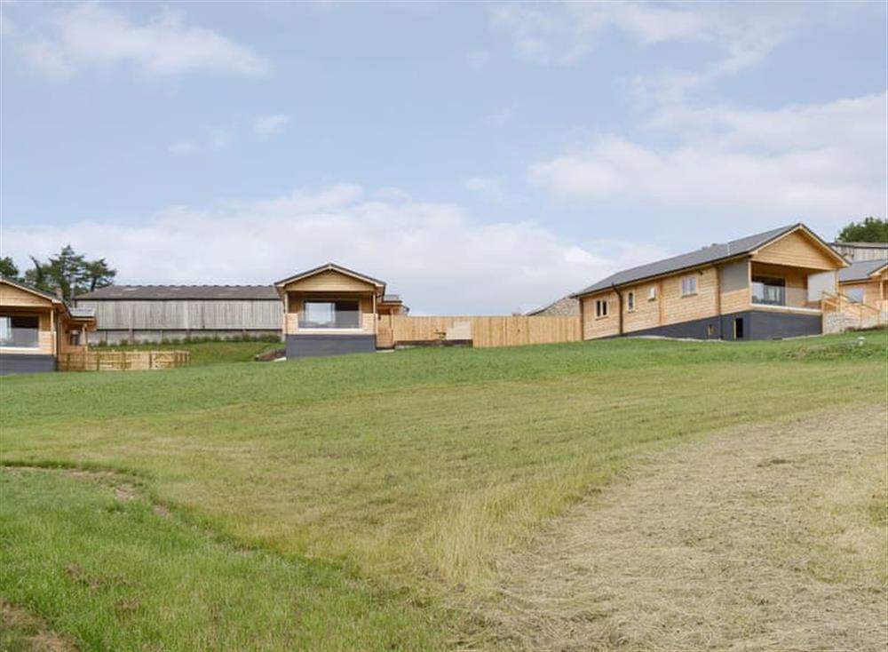 Photos of Buckland Farm Log Cabins Foxglove Buckland St Mary, near