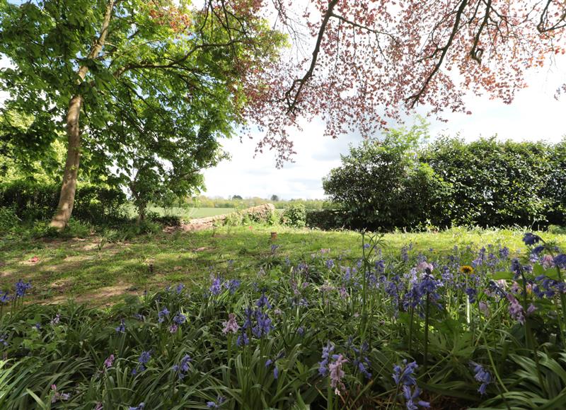 The setting around Buckland House Pod at Buckland House Pod, Lower Durston near Taunton