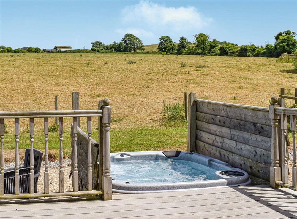 Hot tub at Buckland Lodge in Pentridge, Dorset