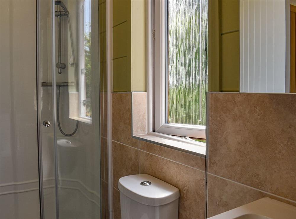 Shower room (photo 2) at Buckland Lodge in Pentridge, Dorset