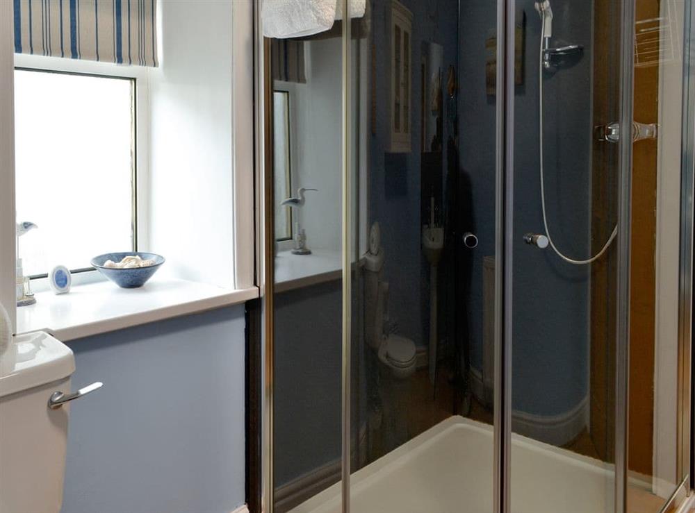 Shower room (photo 2) at Buckle House in Gatehouse of Fleet, near Kirkcudbright, Kirkcudbrightshire