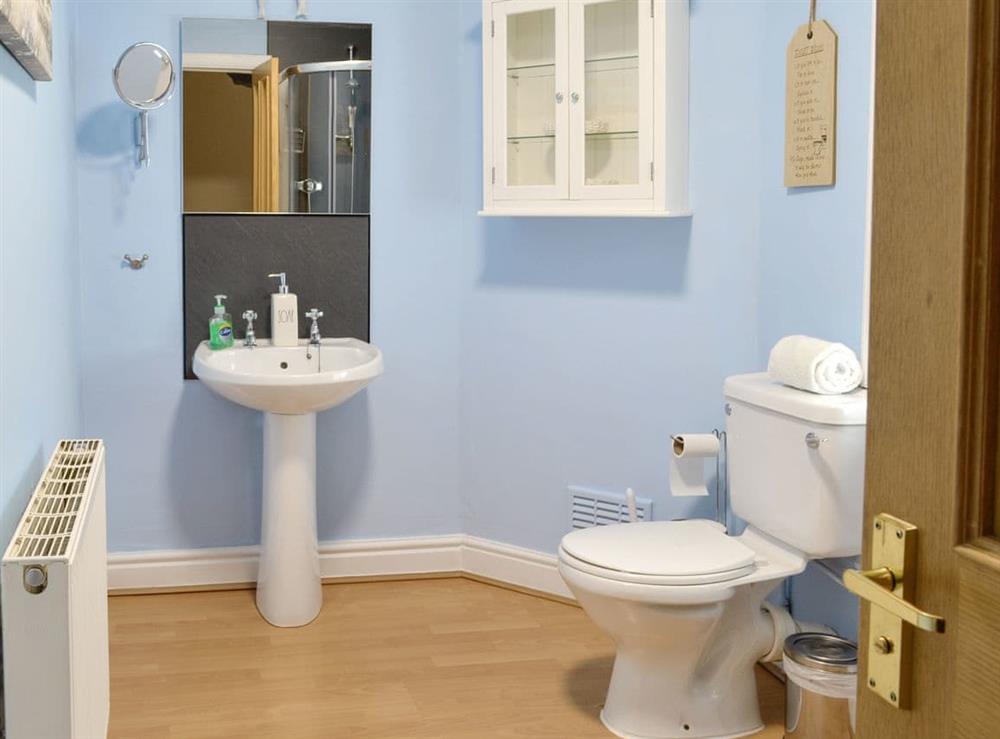 Shower room at Buckle House in Gatehouse of Fleet, near Kirkcudbright, Kirkcudbrightshire
