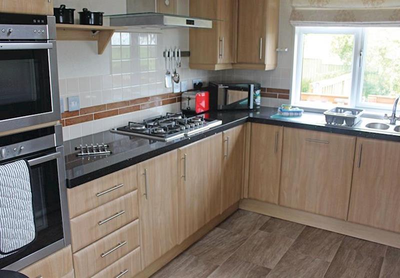 Kitchen in a lodge at Bucklegrove Holiday Park in Cheddar, Somerset