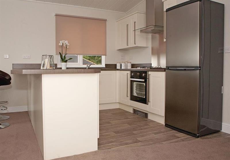 The kitchen in a Lodge 2 at Bucklegrove Holiday Park in Cheddar, Somerset