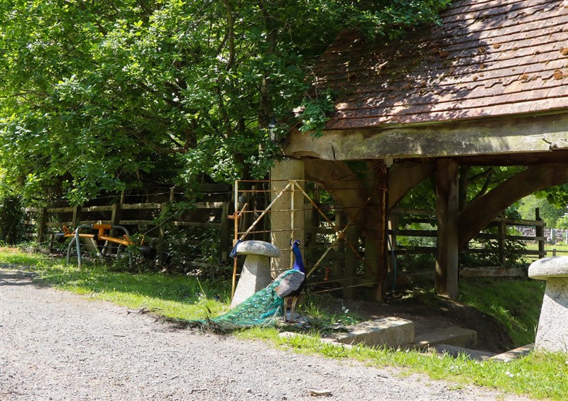 Enjoy the garden (photo 2) at Buckleigh Lodge, Kingsteignton