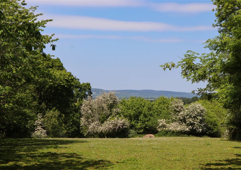 Enjoy the garden at Buckleigh Lodge, Kingsteignton