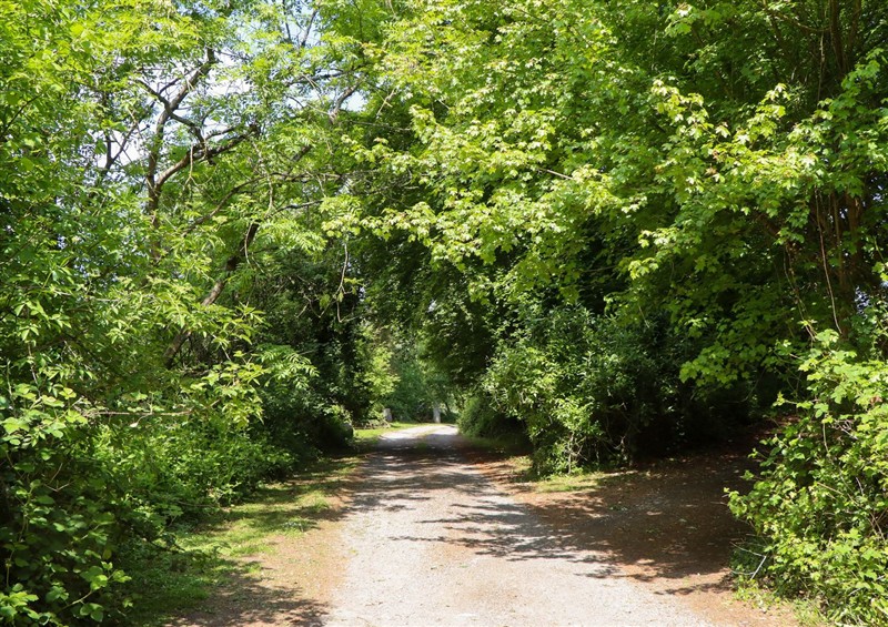 The area around Buckleigh Lodge at Buckleigh Lodge, Kingsteignton